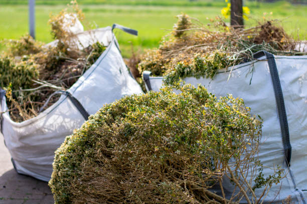 Best Hoarding Cleanup  in Lden, MA